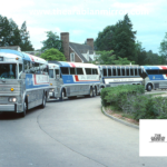 Madinah Buses