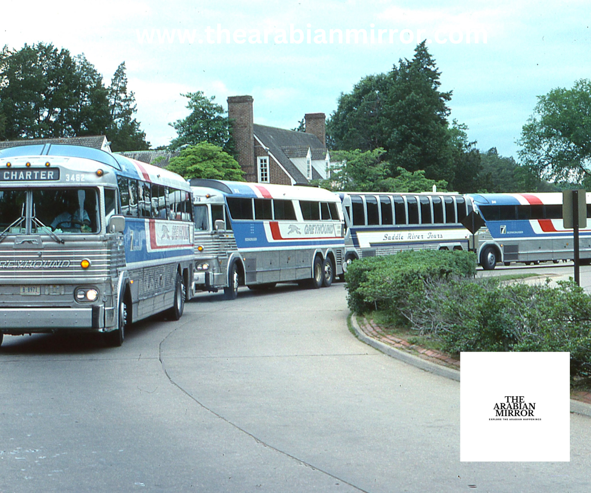 Madinah Buses