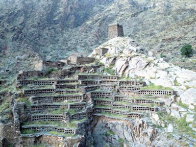 Maysan Beehives in Saudi Arabia are Thought to be Over a Millennium Old