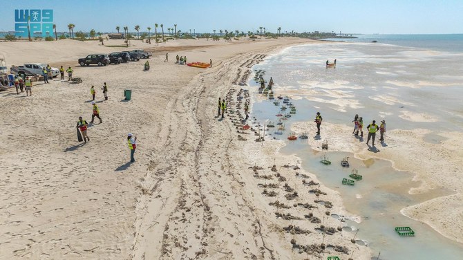 Attendees at Saudi Mangrove Planting Day Exceed One Hundred