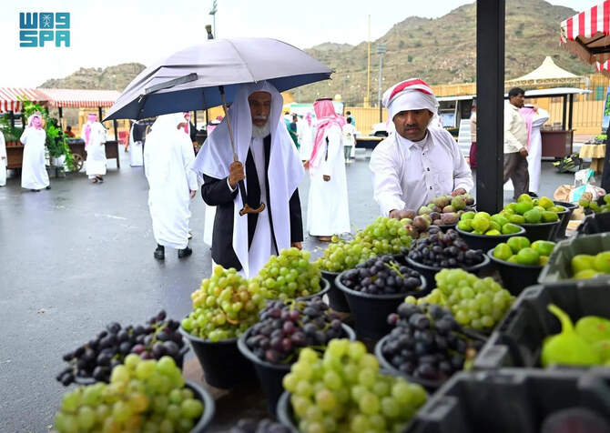 11 Varieties of Locally Produced Fruit Abound in Saudi Markets