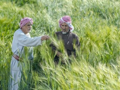 Saudi Agriculture Fund Uses $533 Million in Loans and Credit Facilities to Grow the Food Industry