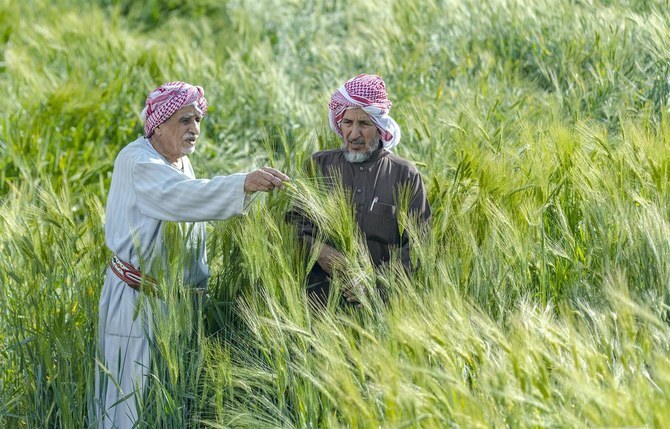 Saudi Agriculture Fund Uses $533 Million in Loans and Credit Facilities to Grow the Food Industry