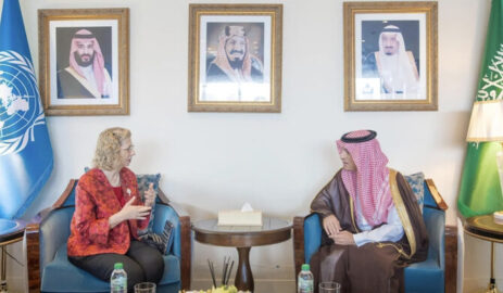 UN Representative meets Saudi Climate Envoy in New York