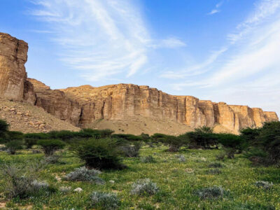 Ibex Reserve is the First Protected Area on the Saudi Green List