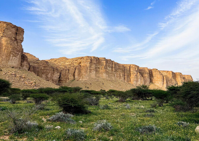 Ibex Reserve is the First Protected Area on the Saudi Green List