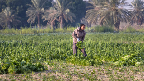 Saudi Arabia Urges the Private Sector to close the $10 Billion Investment Deficit in Agriculture.