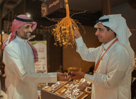 The Function of Palms in Ancient Societies is Examined in a Riyadh Exhibition
