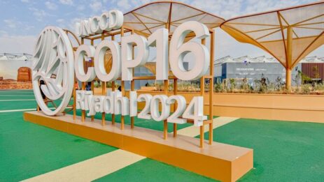 At COP16, Youth Empowerment takes center Stage At COP16, Youth Empowerment takes center Stage