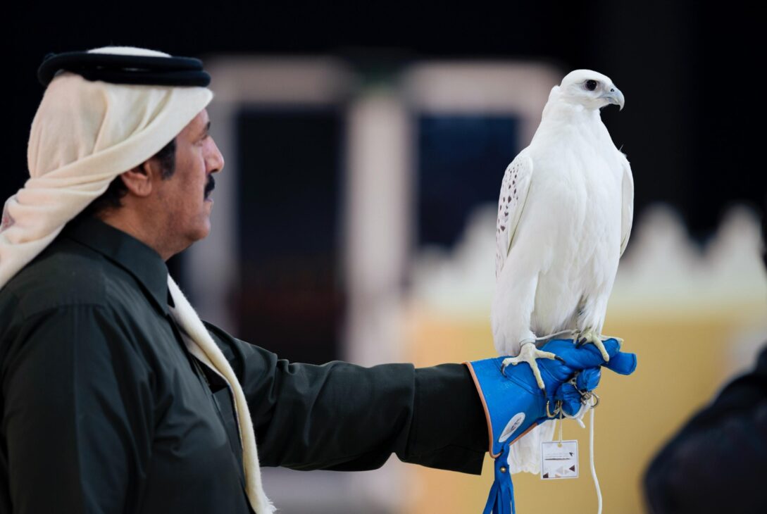 With a Record-Breaking Prize Fund, the King Abdulaziz Falconry Festival Comes to an End