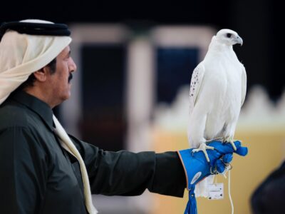 With a Record-Breaking Prize Fund, the King Abdulaziz Falconry Festival Comes to an End