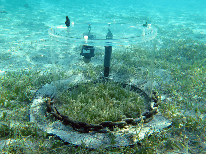 The Japan Prize For Marine Environment Research is Awarded to a Leading Saudi University