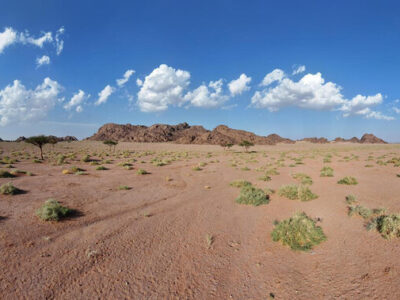 Restoring Saudi Arabia's Devastated Lands is The Goal of a New Project