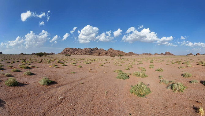 Restoring Saudi Arabia's Devastated Lands is The Goal of a New Project