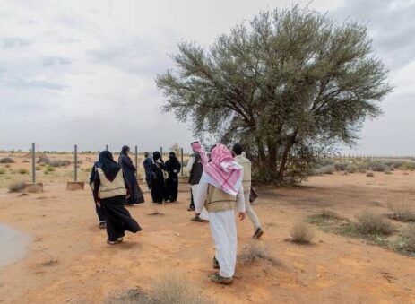 Grazing is Restricted in Royal Reserves to Preserve The Vegetation