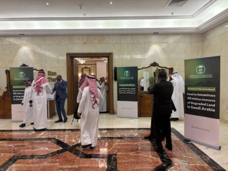 A New Handbook For Land Restoration Aims to Coordinate Afforestation Initiatives