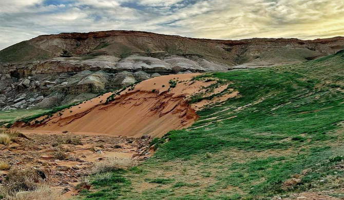 750,000 Hectares Revived: Inside the Success of King Salman Royal Reserve