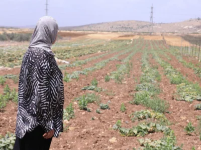 Farming in the West Bank: A Struggle for Survival and Identity
