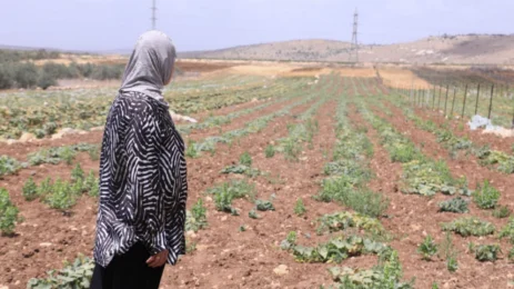 Farming in the West Bank: A Struggle for Survival and Identity Farming in the West Bank