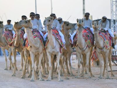 Saudi Handicrafts Attract Visitors at Popular Camel Festival