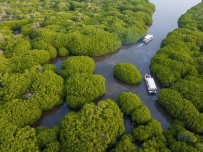 Farasan Island Marine Sanctuary Joins the World’s Important Wetlands List