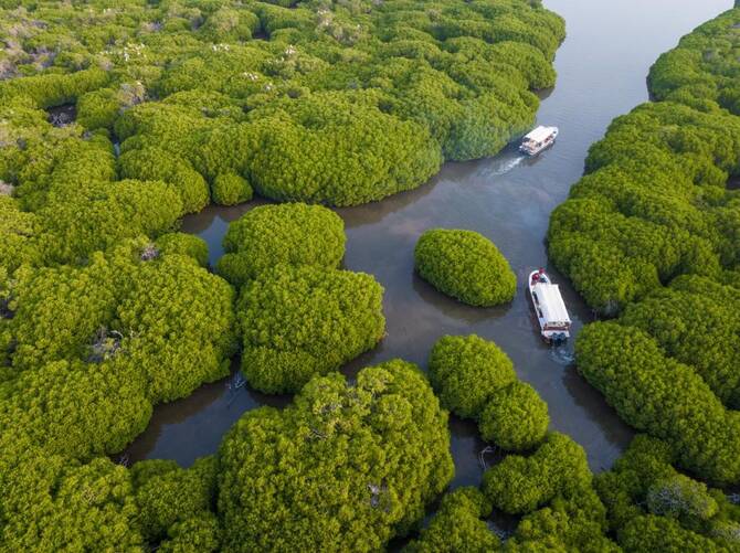 Farasan Island Marine Sanctuary Joins the World’s Important Wetlands List