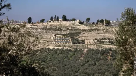 Palestinian Baby Hurt in Israeli Settler Attack, Authorities Arrest Five