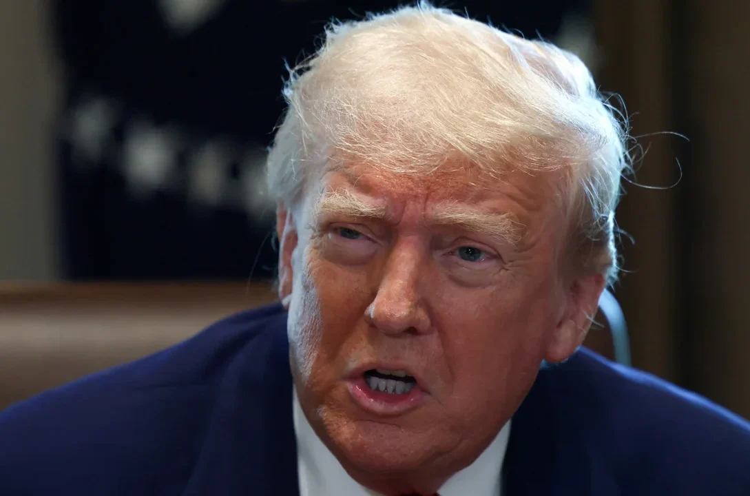 Germany Eases Concerns Over US Intentions Toward Greenland