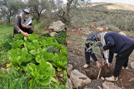 Life Under Threat: Why Palestinian Farmers Are Leaving Their Land