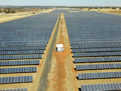 How Solar Sheep Are Helping Rural Australia Cut Carbon and Go Green