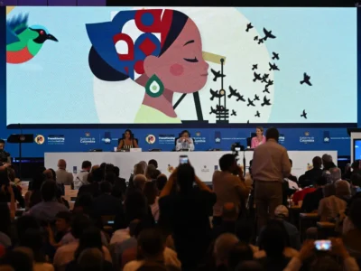 France’s 2050 Fossil Fuel Exit Roadmap: What It Means for Europe’s Energy Future