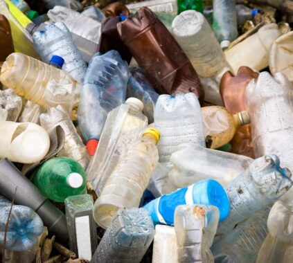 Top Misconceptions Business Leaders Have About Plastics and Bioplastics