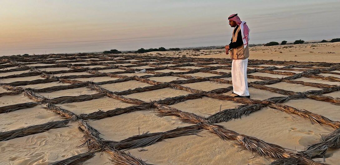 How Ushar Anchors Life in Saudi Arabia’s Tough Desert Environment