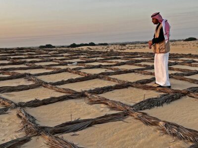 How Ushar Anchors Life in Saudi Arabia’s Tough Desert Environment