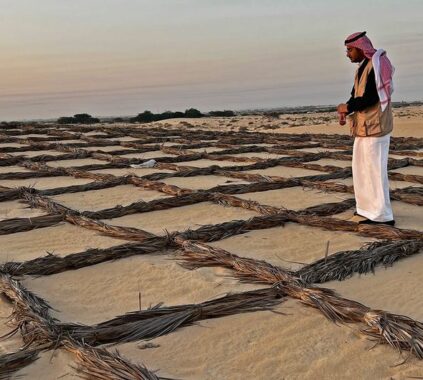 How Ushar Anchors Life in Saudi Arabia’s Tough Desert Environment