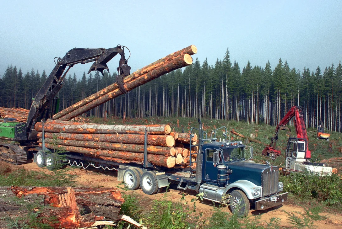 WA Timber Industry Struggles with New Rules and Global Trade War