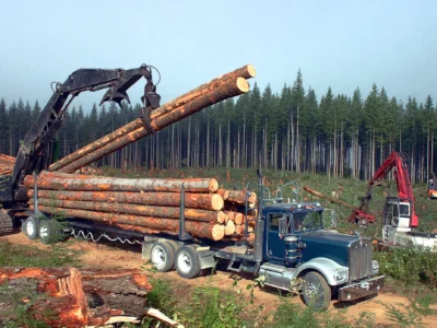 WA Timber Industry Struggles with New Rules and Global Trade War