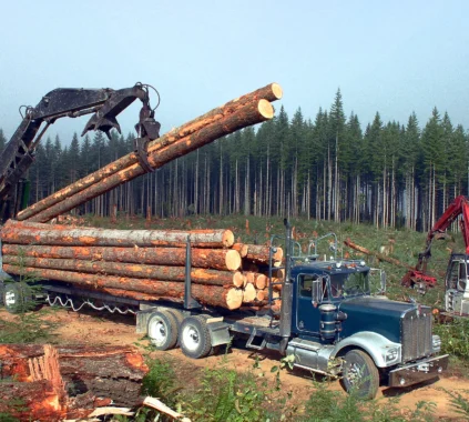 WA Timber Industry Struggles with New Rules and Global Trade War