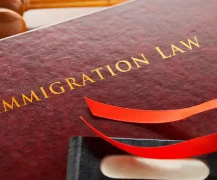 The Importance of Legal Representation in Immigration Cases