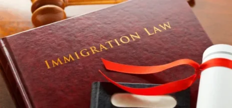 The Importance of Legal Representation in Immigration Cases