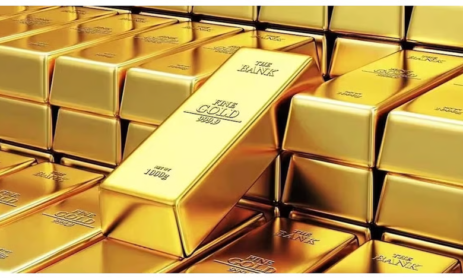 Cameroon Cracks Down on Nearly 200 Illegal Gold Mining Firms
