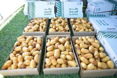 Al-Ahsa Central Markets Welcome the Arrival of Early Date Harvest