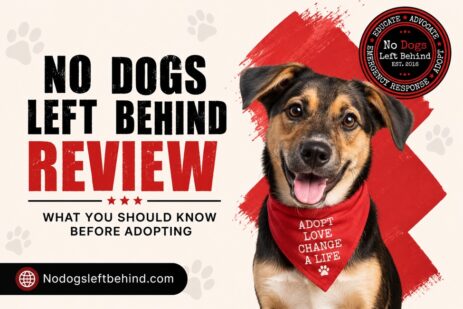 No Dogs Left Behind Review
