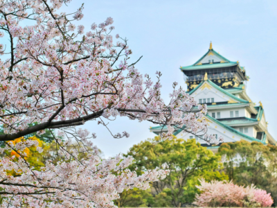 How Japan Became a Top Destination for GCC Travelers in 2025