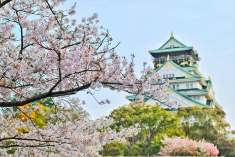 How Japan Became a Top Destination for GCC Travelers in 2025