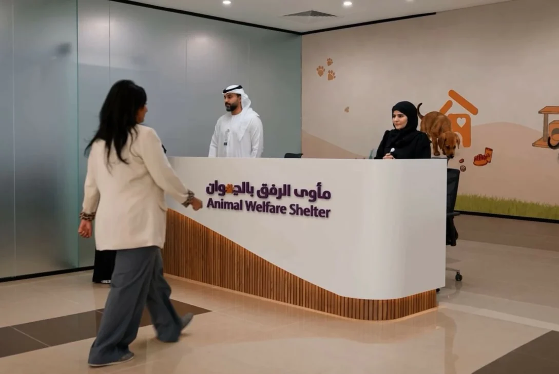 How Technology Is Transforming Pet Adoption and Animal Welfare in Dubai