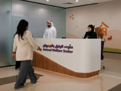 How Technology Is Transforming Pet Adoption and Animal Welfare in Dubai