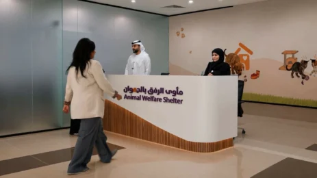 How Technology Is Transforming Pet Adoption and Animal Welfare in Dubai
