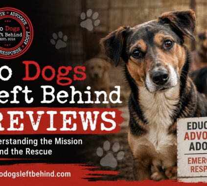 No Dogs Left Behind Review