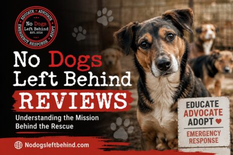 No Dogs Left Behind Review